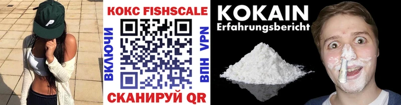 где купить наркотик  Егорьевск  Кокаин Fish Scale 