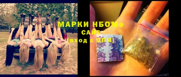 прущие грибы Алзамай