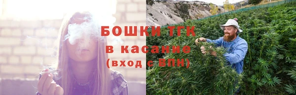 прущие грибы Алзамай