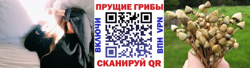 Галлюциногенные грибы прущие грибы  купить наркотик  Егорьевск 