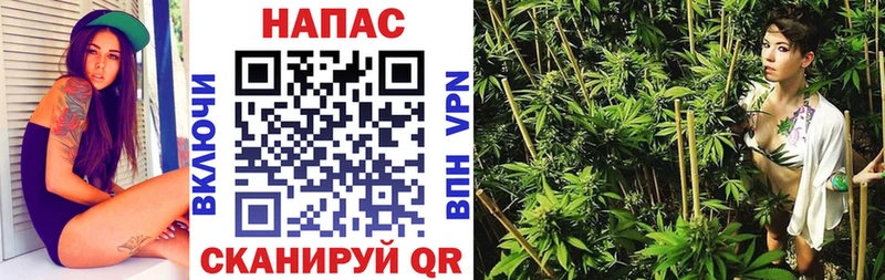 Бошки марихуана White Widow  Егорьевск 